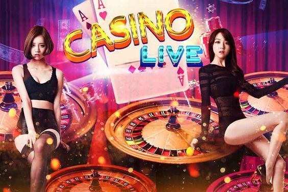 Fortune Dragon Live Betting